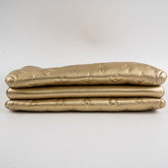 Louis Vuitton Coussin Gold PM