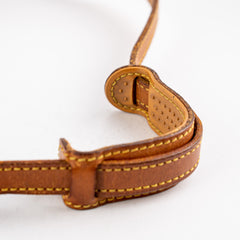 Louis Vuitton Saint Cloud Monogram Crossbody Bag