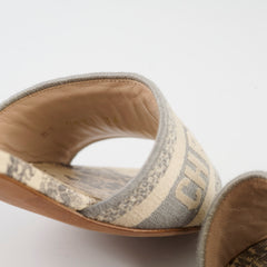 Christian Dior Dway Heel Size 36
