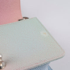 Chanel Small Rainbow Boy