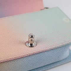 Chanel Small Rainbow Boy