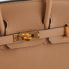 Hermes Birkin 25 Chai Togo - U Stamp