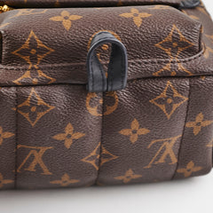 Louis Vuitton Palm Springs Mini Monogram