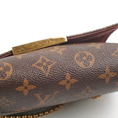 Louis Vuitton Favourite MM Monogram