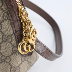 Gucci Ophidia Crossbody Bag Brown