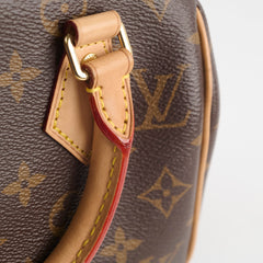 Louis Vuitton Speedy 20 Monogram