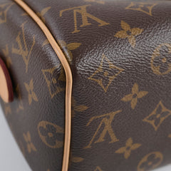 Louis Vuitton Speedy 20 Monogram
