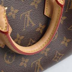 Louis Vuitton Speedy 20 Monogram