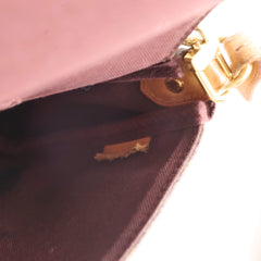 Louis Vuitton Favourite Monogram