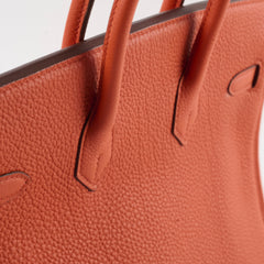 Hermes Birkin 25 PHW Togo Terre Battue/Rouge Duchesse Y Stamp