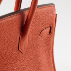 Hermes Birkin 25 PHW Togo Terre Battue/Rouge Duchesse Y Stamp