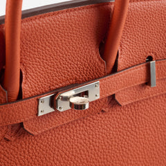Hermes Birkin 25 PHW Togo Terre Battue/Rouge Duchesse Y Stamp