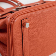 Hermes Birkin 25 PHW Togo Terre Battue/Rouge Duchesse Y Stamp