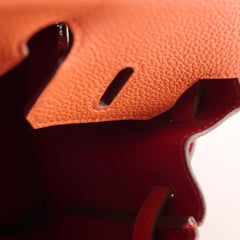 Hermes Birkin 25 PHW Togo Terre Battue/Rouge Duchesse Y Stamp