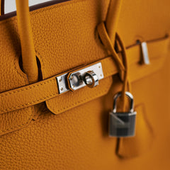 Hermes Birkin 25 Togo Jaune Ambre - B Stamp