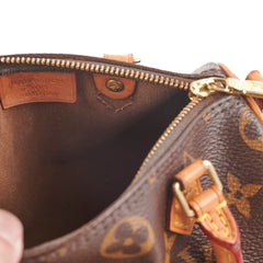Louis Vuitton Speedy Nano Monogram