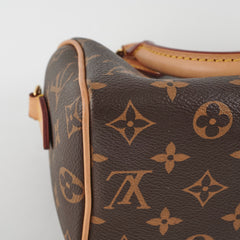 Louis Vuitton Speedy 20 Monogram