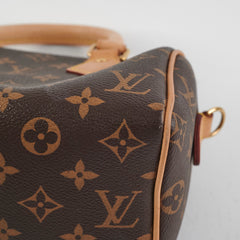 Louis Vuitton Speedy 20 Monogram