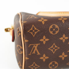 Louis Vuitton Speedy 20 Monogram