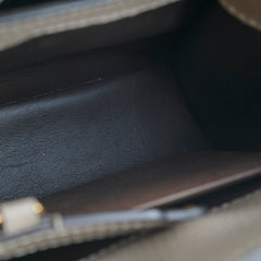 Louis Vuitton Capucines MM Taupe Galet