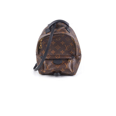Louis Vuitton Palm Spring Mini Monogram