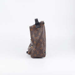 Louis Vuitton Palm Spring Mini Monogram