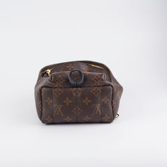 Louis Vuitton Palm Spring Mini Monogram