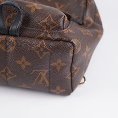 Louis Vuitton Palm Spring Mini Monogram