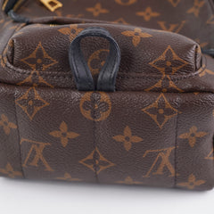 Louis Vuitton Palm Spring Mini Monogram