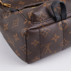 Louis Vuitton Palm Spring Mini Monogram