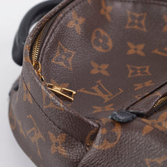 Louis Vuitton Palm Spring Mini Monogram