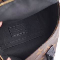 Louis Vuitton Palm Spring Mini Monogram