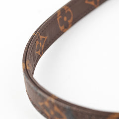 Louis Vuitton Dog Leash Monogram