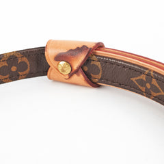 Louis Vuitton Dog Leash Monogram