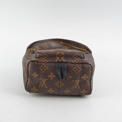 Louis Vuitton Mini Palm Spring Backpack Monogram