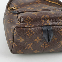 Louis Vuitton Mini Palm Spring Backpack Monogram