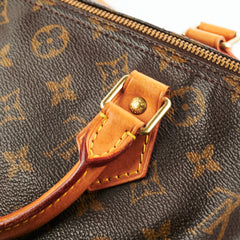 Louis Vuitton Speedy 30 Monogram