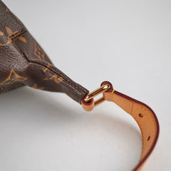 Louis Vuitton Bumbag Monogram