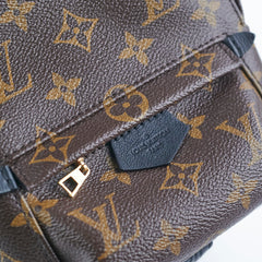 Louis Vuitton Palm Springs Mini Monogram