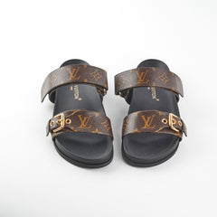 Louis Vuitton Mule Monogram Size 40