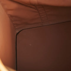 Louis Vuitton Pet Carrier Monogram