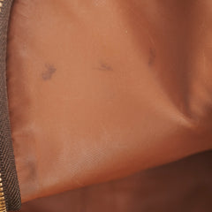Louis Vuitton Pet Carrier Monogram