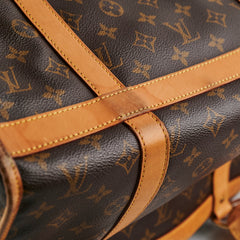 Louis Vuitton Pet Carrier Monogram