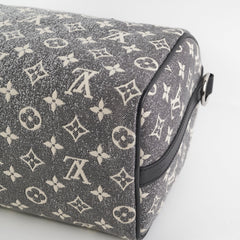 Louis Vuitton Speedy 25 Bandouliere Denim