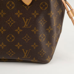Louis Vuitton Neverful PM Monogram