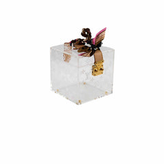 Louis Vuitton Clear Cosmetic Vanity