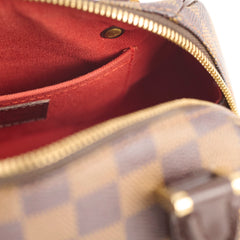 Louis Vuitton Ribera Mini Damier Ebene