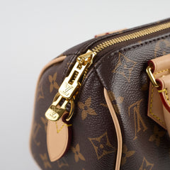 Louis Vuitton Speedy 20 Monogram Microchip