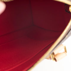 Louis Vuitton Speedy 20 Monogram Microchip