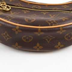 Louis Vuitton Loop Crossbody Bag Monogram